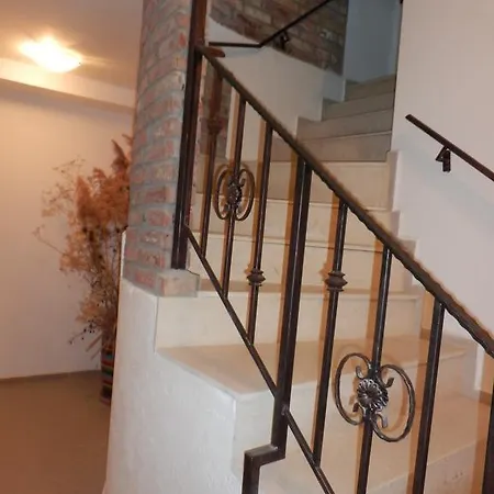 Aleksandrovo Apartments Apartman *